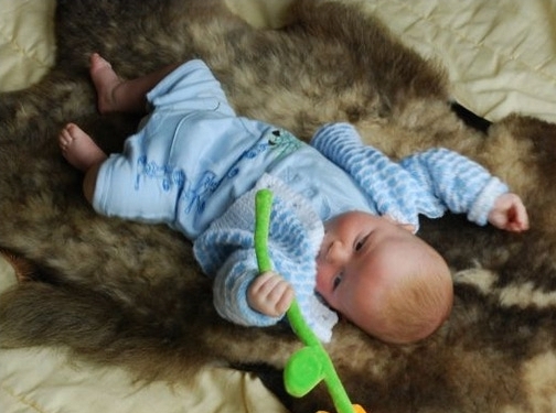 https://www.organicsheepskins.co.uk/ website